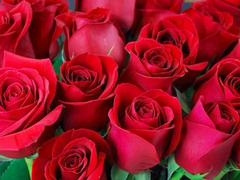 Bangladeshi first-timer gets into gay action with Desi Mazaa