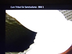 Cum Tribut (cumtribute) fuer Sanctuslune Bild 1