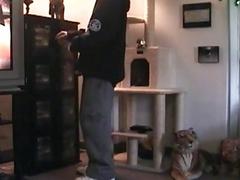 College babe is up for a little ass fucking after blowjob