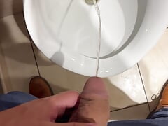 Cuckold husband plays in public bathroom