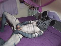 Just a hyena fellow pawing~