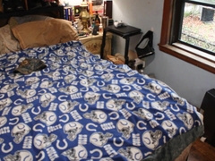 Fapping While the Neighbors Fellow Witnesses