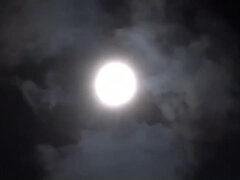 Asiatisch, Arsch, Schönheit, Vollbusig, Natürlich, Nippel, Orgasmus, Muschi