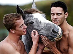 Gay guys fucking happily in a sun-lit cabin in the woods