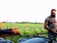 bulky bears have intercourse in the thicket