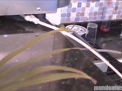 Neighbour Wants My Cock