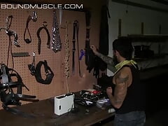 Strapped Matt Stevens Dominated By Draven Torres