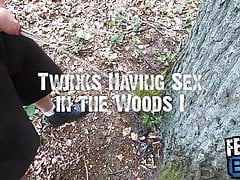 Twinks Having Sex in the Woods I