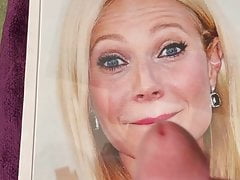 Gwyneth Paltrow Milf Blonde Cum FacialTribute