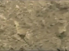 Muscled Asian Stud Bares Almost All at the Beach 2