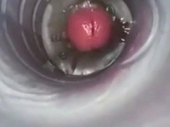 Massive Cumshots (Not Me)