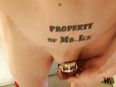 Peeing in Tiny Chastity Cage