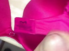 Cumming on my Wifes Pink Maidenform bra