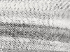 Muscled DILF Barebacked By Thin Youngster