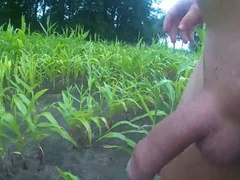 wanking in the cornfield and cumming in the woods 3