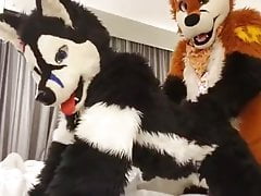 play fursuit with friend