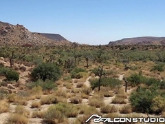 Bulky Dark haired Teddies Fuckin' In The Douche