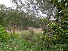 Bush Walking Naked 2012