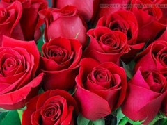 Mature, gay porn, bangladeshi