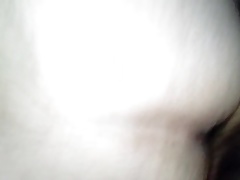 Grandfather teddy bear 63 years old