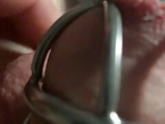 Small white dick twitching in chastity