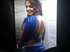 Tributes, 60 fps, gay