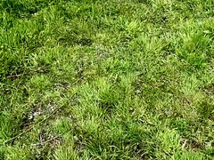 Another married men left his wife to have my dick in the woods