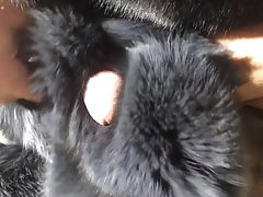 Fox fur masturbation and cum on fur - fur fetish - fur sex