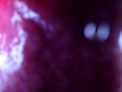 Inward Ass Fucking Glance Xxl Bad Dragon Rex Plows My Backside And Blows A Load