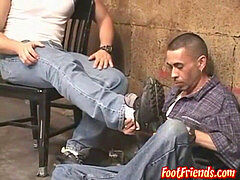 luxurious wolf gets brilliant foot licking and toe sucking