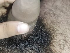 Small black hairy cock