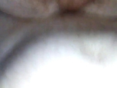 Throbbin pounds my hole raw, breeds me deep