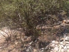 Bearded Stranger's Outdoor Adventure