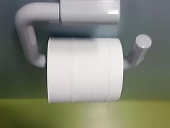 Womens toilet restroom Hotel cumshot on toilet roll