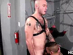 Muscle guy gets pounded