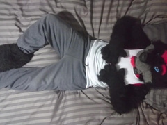 Sexy Fursuit Stripping