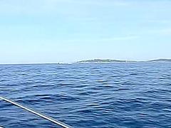 Lads go out fucking on the sea