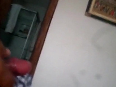 Bezerro carioca mamando os machos 11