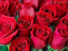 Gay porn, ai, mature