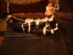 dovbond hogtied latex three