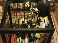 Yellow and black - the bikerslave is in the cage