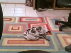 Fat Daddy Strips and Strokes on Webcam 4