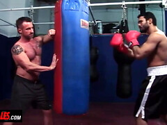 Alphamales - Bowing and eating cum