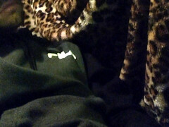 Pretty short video but just getting started