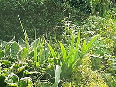 I had to jerk with cumsho in the garden