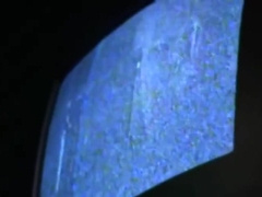 Fondling The Secretary