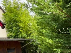 Your Nude Gardener needs to rest and spunk because the sun is too molten