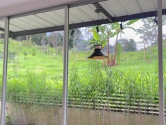 18, 素人, ディルド, ラティーナ, オマンコ, ヤリマン, ティーン, オッパイの