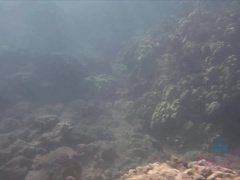 Amateur, Bikini, Brunette brune, Exhib, Nue, De plein air, Pov, Chatte