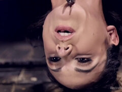 In den arsch, Sadomasochismus, Schönheit, Grosse titten, Vollbusig, Hd, Natürlich, Nippel